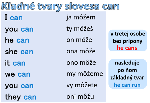 kladné tvary slovesa can 