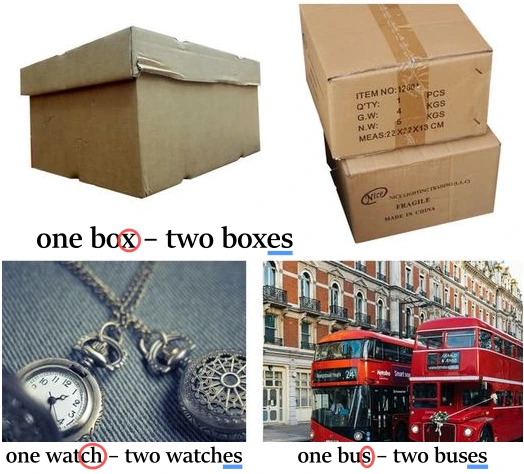 tvorba množného čísla