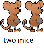 nepravidelné množné číslo myš