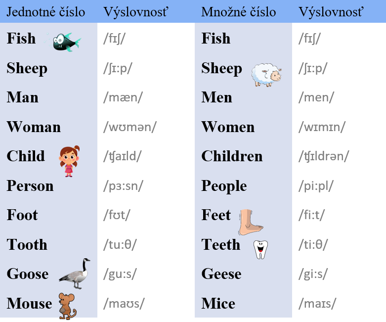 nepravidelné množné číslo irregular plural