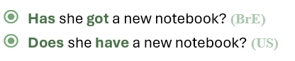 have vs. have got
