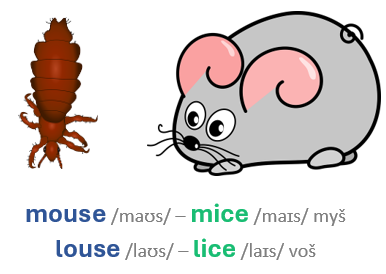 nepravidelné množné číslo myš, voš