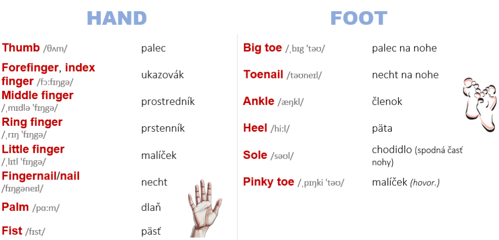 časti hand a foot