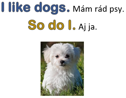 aj ja