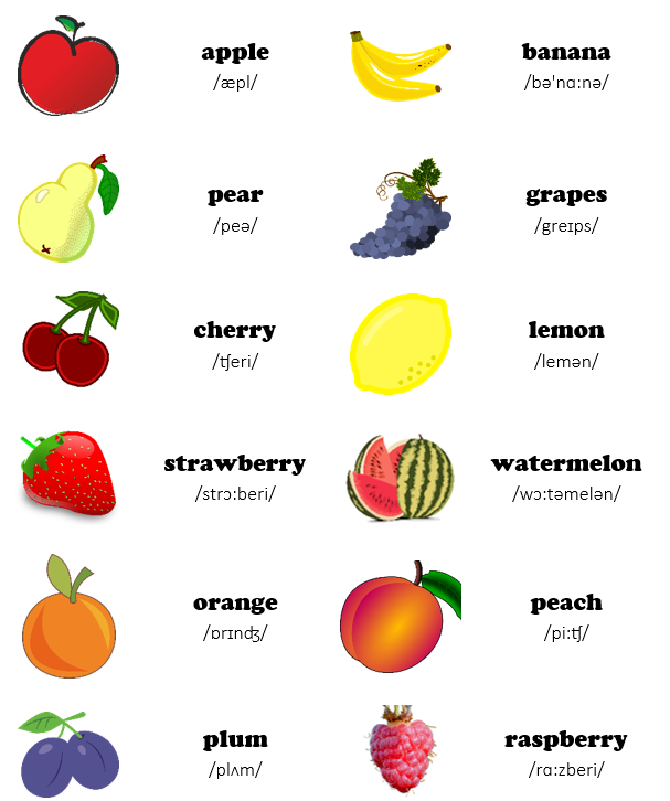 fruit ovocie po anglicky